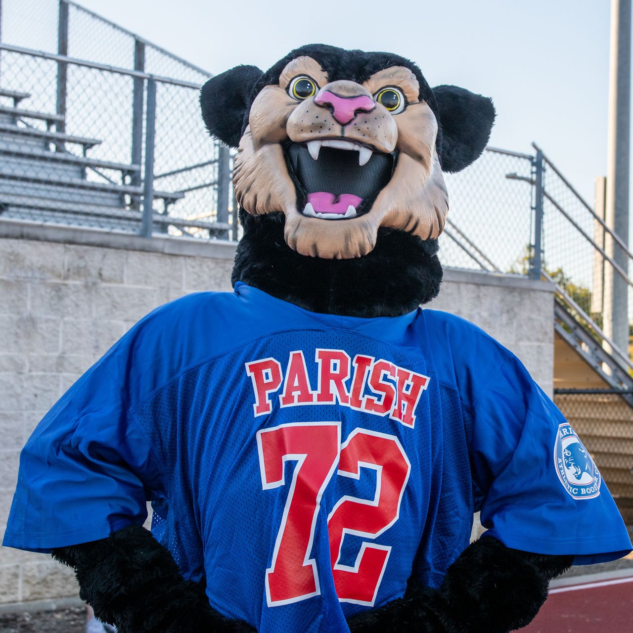 PAWS Spirit Store - Parish Plus